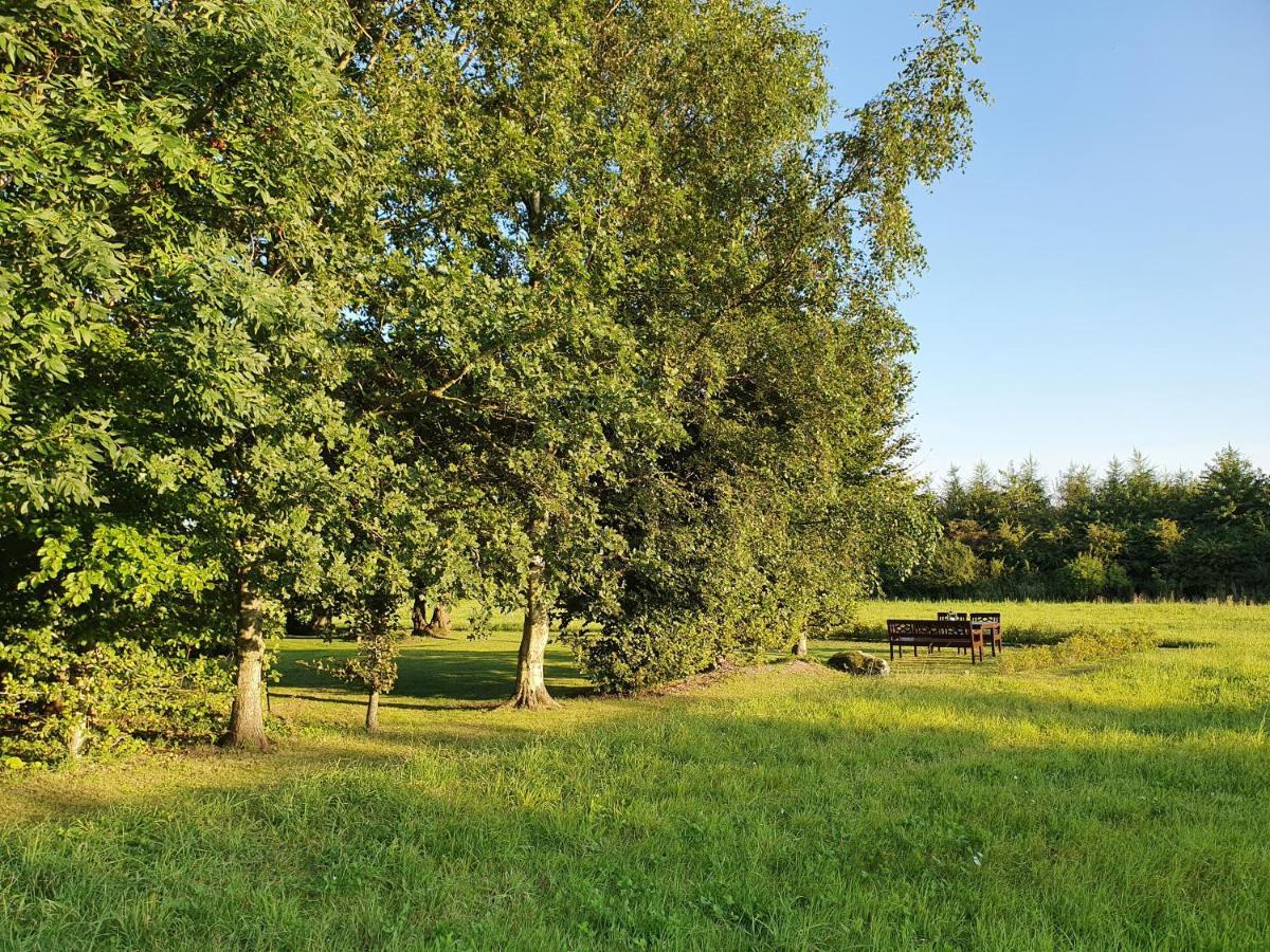 Solbjerg Skov B&B Zewnętrze zdjęcie